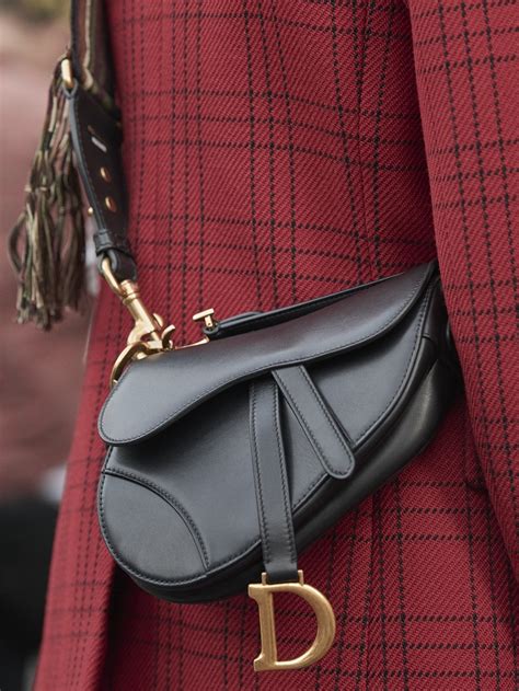 dior saddle bag 2018